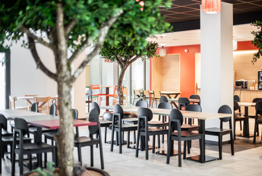 Au premier plan, un arbre en pot bien garnit et à l'arrière un assortiment de chaises et tables de réemploi parfaites pour le déjeuner.